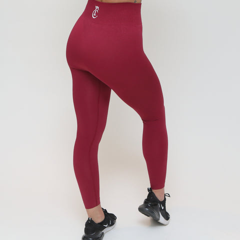 Seamless Full Length Tights